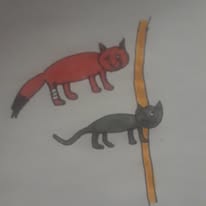 The race